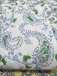 3026-650-7 60 Rasen Paisley[Textilgewebe] HOKKOH Sub-Foto