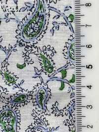 3026-650-7 60 Rasen Paisley[Textilgewebe] HOKKOH Sub-Foto