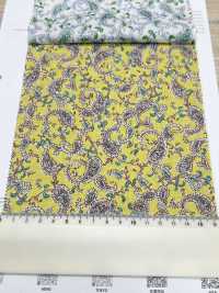 3026-650-7 60 Rasen Paisley[Textilgewebe] HOKKOH Sub-Foto