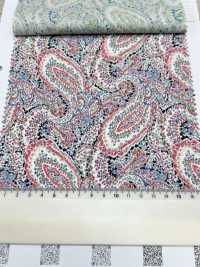 3026-650-10 60 Rasen Paisley[Textilgewebe] HOKKOH Sub-Foto