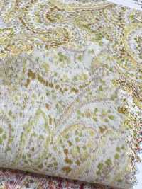 3026-650-10 60 Rasen Paisley[Textilgewebe] HOKKOH Sub-Foto