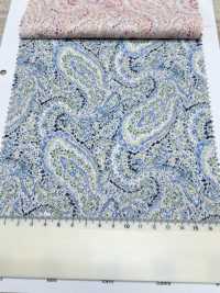 3026-650-10 60 Rasen Paisley[Textilgewebe] HOKKOH Sub-Foto