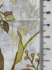 4026-660-5 60 Rasen-Itome-Blume[Textilgewebe] HOKKOH Sub-Foto