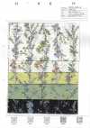 8026-680-4 80s Batist Miracle Wave gestreift mit Blumenmuster