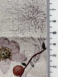 7026-700-1 CL Loomstate Botanisches Blumenmuster[Textilgewebe] HOKKOH Sub-Foto