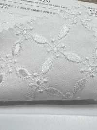 KCL522-D191 60 Lawn Lace[Textilgewebe] Uni Textile(Komon Studio) Sub-Foto