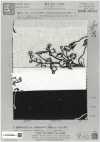 KCL524-D2896 Viskose-Leinen-Canvas-Spitze