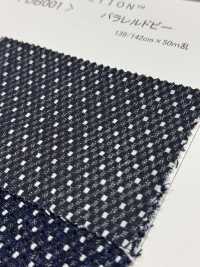 DB001 Parallel Dobby[Textilgewebe] DUCK TEXTILE Sub-Foto