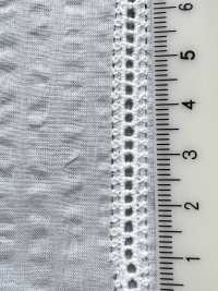8026-865-1 Wunderwelle Auf Gestickten Streifen[Textilgewebe] HOKKOH Sub-Foto