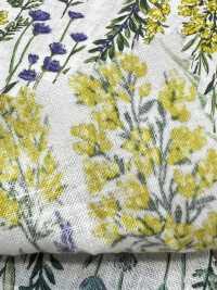 8026-790-1 Leinen Loomstate Gestreifte Blume[Textilgewebe] HOKKOH Sub-Foto