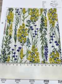 8026-790-1 Leinen Loomstate Gestreifte Blume[Textilgewebe] HOKKOH Sub-Foto