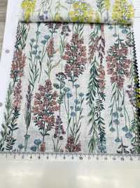 8026-790-1 Leinen Loomstate Gestreifte Blume[Textilgewebe] HOKKOH Sub-Foto