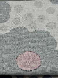 UP5958 Leinen-Canvas-Hagel-Druck[Textilgewebe] Sub-Foto