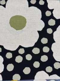 UP5958 Leinen-Canvas-Hagel-Druck[Textilgewebe] Sub-Foto
