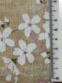 KTS6850 Kreuz Des Südens Sakura Musterdruck[Textilgewebe] Sub-Foto