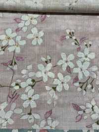 KTS6850 Kreuz Des Südens Sakura Musterdruck[Textilgewebe] Sub-Foto