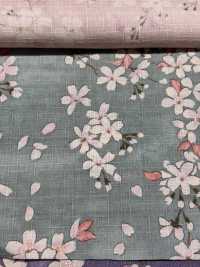 KTS6850 Kreuz Des Südens Sakura Musterdruck[Textilgewebe] Sub-Foto