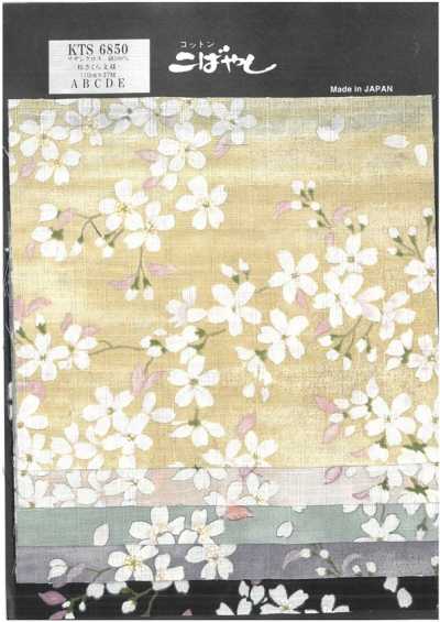 KTS6850 Southern Cross Sakura-Musterdruck