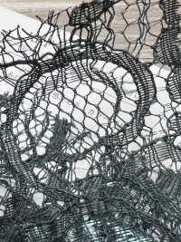 KKF8468S Einohriges Scala Ny/Ry Lamé Cord Lace[Textilgewebe] Uni Textile(Komon Studio) Sub-Foto