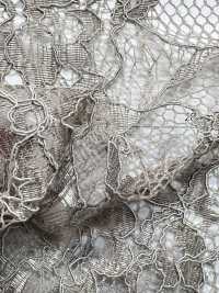 KKF8575-D5 Ein-Ohr Scala Ny/Ry Cord Lace[Textilgewebe] Uni Textile(Komon Studio) Sub-Foto