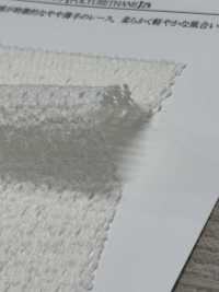 41692 Charme Transparente Spitze[Textilgewebe] SUNWELL Sub-Foto
