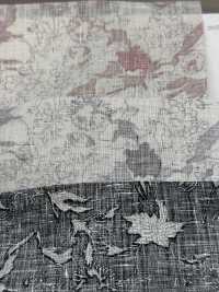 OKC034 60/Leinendruck Linie Blume[Textilgewebe] Oharayaseni Sub-Foto