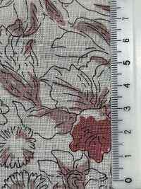 OKC034 60/Leinendruck Linie Blume[Textilgewebe] Oharayaseni Sub-Foto