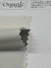 SBT-010 Tamamushi-Schreibmaschinentuch Aus Bio-Baumwolle[Textilgewebe] Kuwamura Textil Sub-Foto