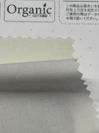 SBT-010 Tamamushi-Schreibmaschinentuch Aus Bio-Baumwolle[Textilgewebe] Kuwamura Textil Sub-Foto