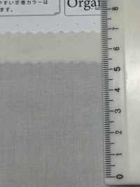 SBT-010 Tamamushi-Schreibmaschinentuch Aus Bio-Baumwolle[Textilgewebe] Kuwamura Textil Sub-Foto