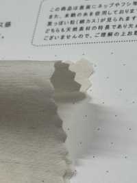 STL-9213 Schreibmaschinentuch Aus Leinen[Textilgewebe] Kuwamura Textil Sub-Foto