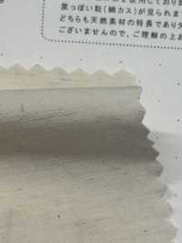 STL-9213 Schreibmaschinentuch Aus Leinen[Textilgewebe] Kuwamura Textil Sub-Foto