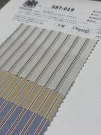 SBT-019 Bio Natur Wrinkle Washed Stripes[Textilgewebe] Kuwamura Textil Sub-Foto