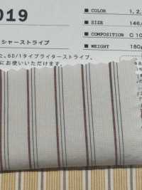 SBT-019 Bio Natur Wrinkle Washed Stripes[Textilgewebe] Kuwamura Textil Sub-Foto