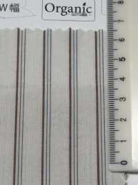 SBT-019 Bio Natur Wrinkle Washed Stripes[Textilgewebe] Kuwamura Textil Sub-Foto