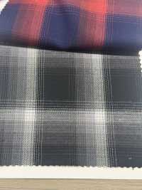 CH-6348 Asymmetrie Ombre Check[Textilgewebe] Kuwamura Textil Sub-Foto