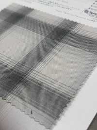 CH-6348 Asymmetrie Ombre Check[Textilgewebe] Kuwamura Textil Sub-Foto