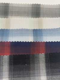 CH-6348 Asymmetrie Ombre Check[Textilgewebe] Kuwamura Textil Sub-Foto