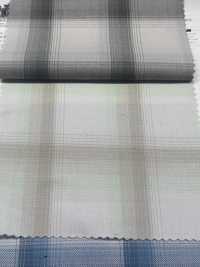 CH-6348 Asymmetrie Ombre Check[Textilgewebe] Kuwamura Textil Sub-Foto