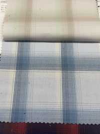 CH-6348 Asymmetrie Ombre Check[Textilgewebe] Kuwamura Textil Sub-Foto