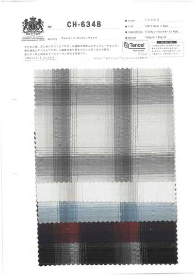 CH-6348 Asymmetrisches Ombre-Karo