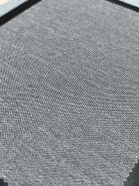 1069501 Rayblock® 36G Mikro-Moosstich[Textilgewebe] TAKISADA NAGOYA Sub-Foto