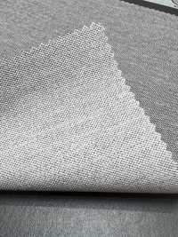 1069501 Rayblock® 36G Mikro-Moosstich[Textilgewebe] TAKISADA NAGOYA Sub-Foto