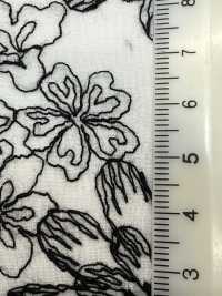KCL525-DP-312 Baumwolle 60 Batistspitze[Textilgewebe] Uni Textile(Komon Studio) Sub-Foto