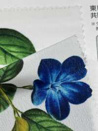 KDP1401-58-D-783 Feminine Weite Weite Dechin[Textilgewebe] Uni Textile(Komon Studio) Sub-Foto