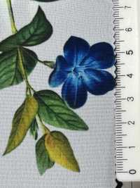 KDP1401-58-D-783 Feminine Weite Weite Dechin[Textilgewebe] Uni Textile(Komon Studio) Sub-Foto