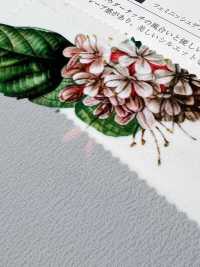 KDP1401-58-DD-783 80 % Schreibmaschinenstoffdruck[Textilgewebe] Uni Textile(Komon Studio) Unterfoto