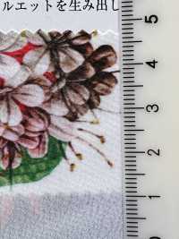 KDP1401-58-DD-783 80 % Schreibmaschinenstoffdruck[Textilgewebe] Uni Textile(Komon Studio) Unterfoto