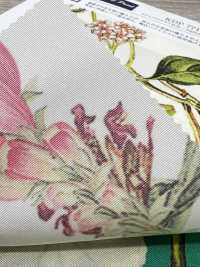 KDP7711-58-DD899 Leichtes Grosgrain-Breitband-Tintenstrahldruck[Textilgewebe] Uni Textile(Komon Studio) Unterfoto