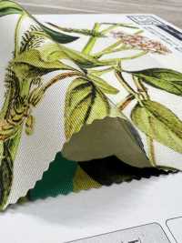 KDP7711-58-DD899 Leichtes Grosgrain-Breitband-Tintenstrahldruck[Textilgewebe] Uni Textile(Komon Studio) Unterfoto